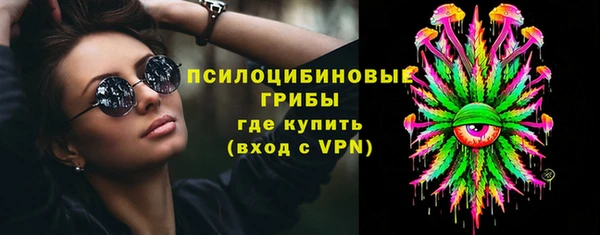 гашик Верхний Тагил