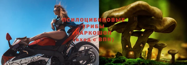 гашик Верхний Тагил